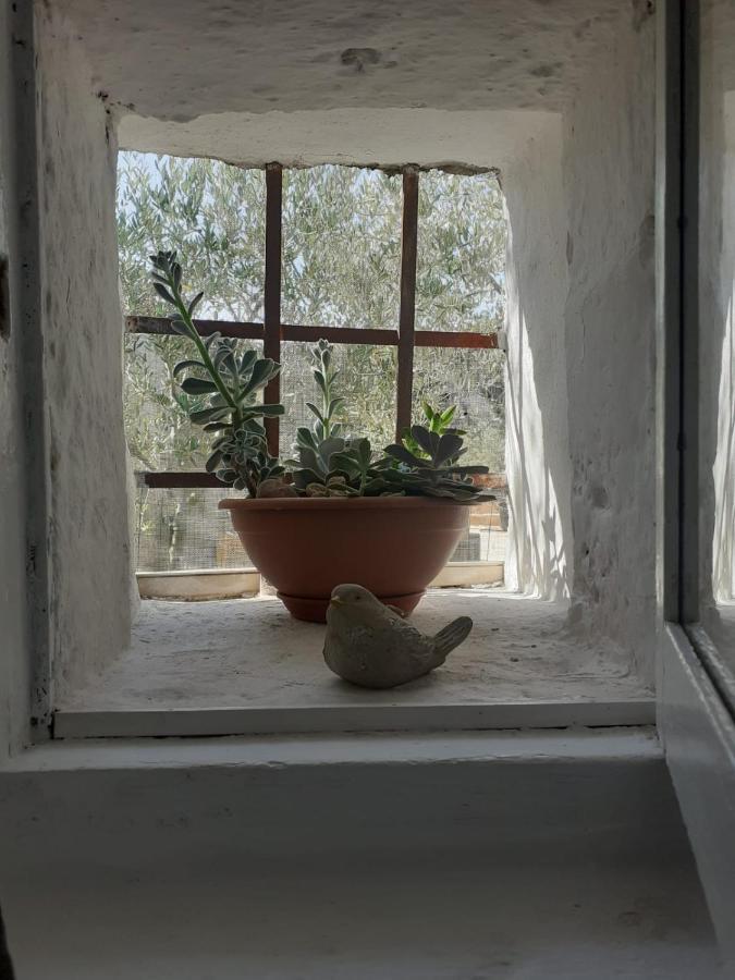 La Mia Dimora Villa Cocolicchio Екстериор снимка